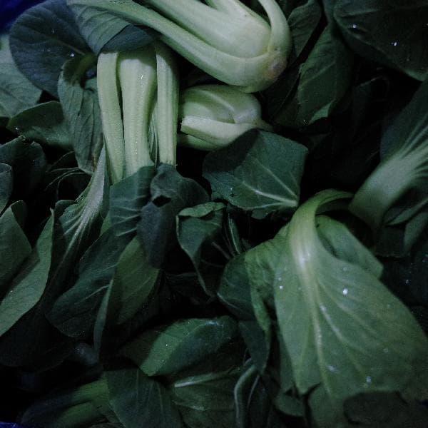 怎么做泡菜最好吃最脆