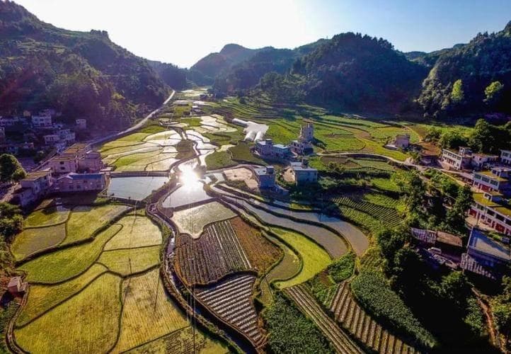 探索未来农业之光：农场溯源系统——透明化农产品生产全过程