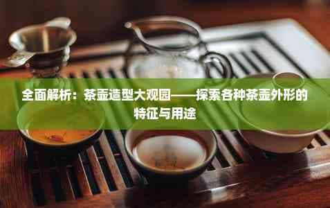 全面解析：茶壶造型大观园——探索各种茶壶外形的特征与用途