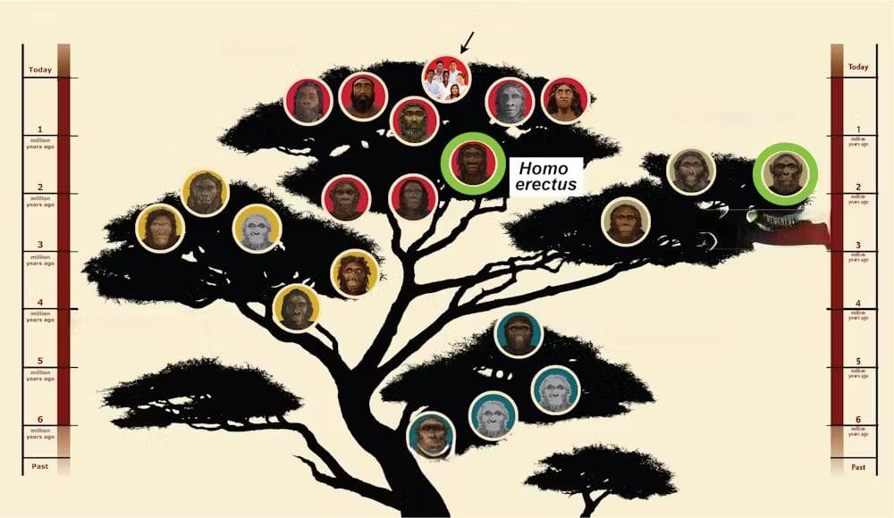 没有记录能确定不同种原始人曾经真的“在一起”？《科学》杂志带来新发现