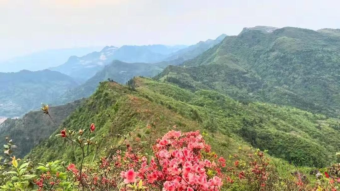 登梳子山，掀开尘封的记忆