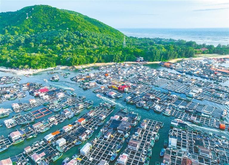 海南陵水：疍家渔排变身网红打卡地，带动村民就业