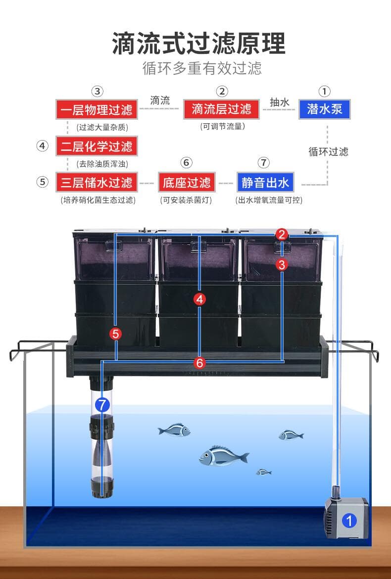 鱼缸过滤器分类及干湿分离过滤系统的优势解析