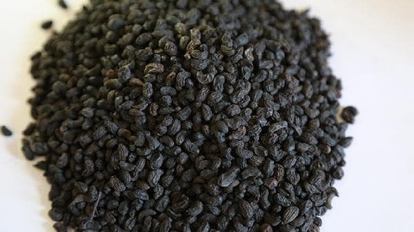 中药过敏不容忽视：从症状识别到预防应对