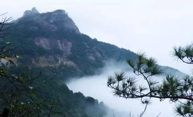 广东罗浮山：春赏百花夏避暑，道教文化传千年