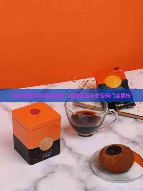 如何经营茶叶实体店：盈利策略与生存窍门全解析