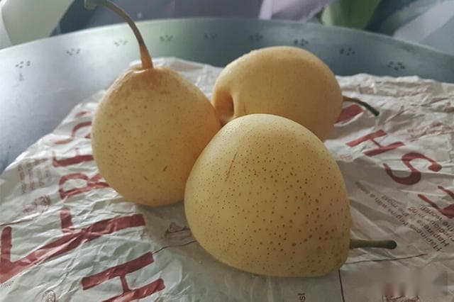 库尔勒美食和特产：香梨、番茄酱、长绒棉与博斯腾湖烤鱼