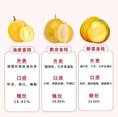 金桔皮：被忽视的养生神器！