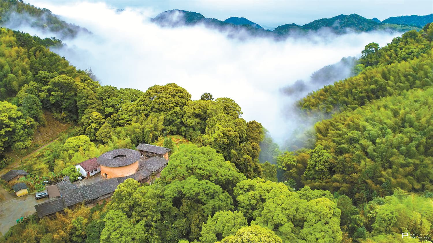 福建漳州：三票融合激发林业活力