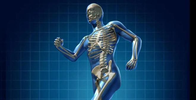 山西奥瑞生物材料公司非法使用遗体生产骨植入材料，暴露出同种异体骨产业的灰色地带