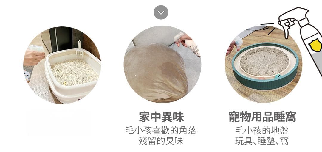 猫尿除臭完全指南：从成因分析到清洁步骤
