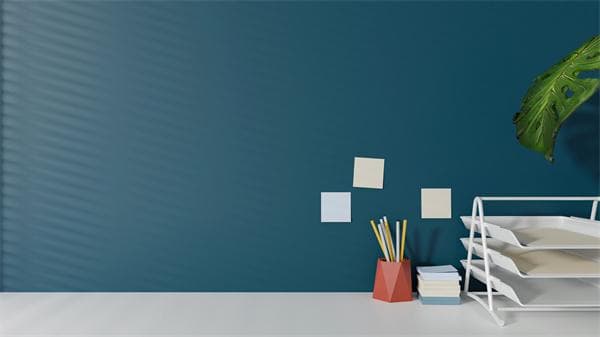 无犯罪记录证明样本格式：详解办理流程及注意事项