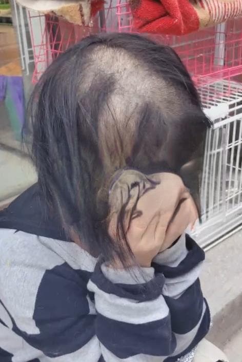 女子离子烫后脱发就医，市场监管介入无果将起诉
