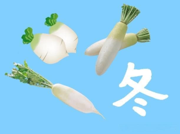 专家解读“冬吃萝卜夏吃姜”：符合季节性饮食规律