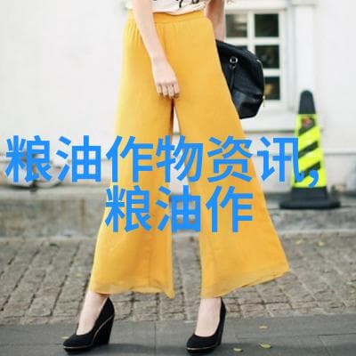 中医文化在现代农业中的应用：中药材种植基地案例研究