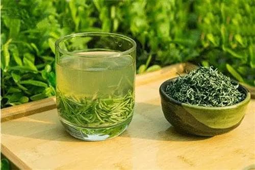蒲公英养生价值高，了解“三不宜”饮用法则，健康生活从点滴做起！