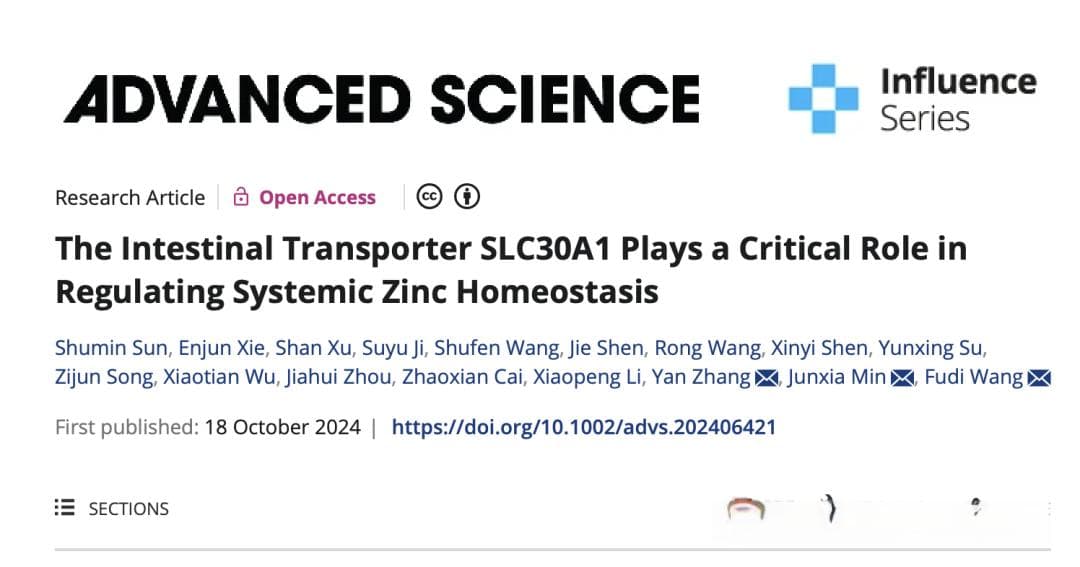 Adv Sci：闵军霞/王福俤/张岩团队发现锌离子在小肠组织的关键转运蛋白