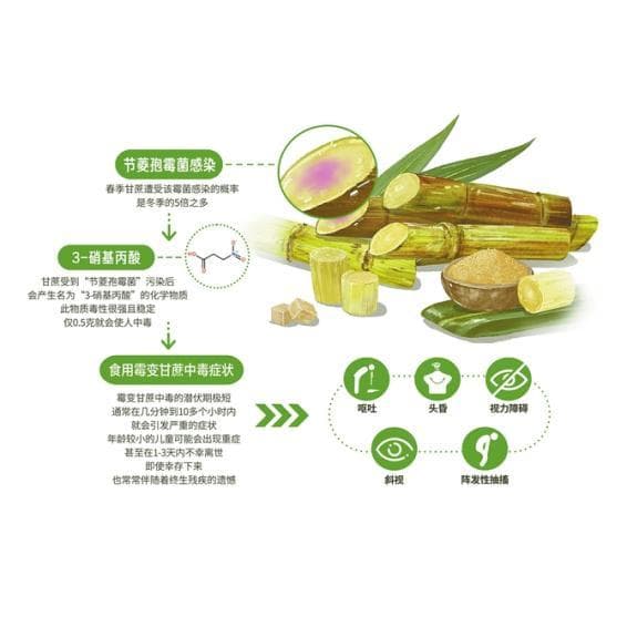 霉变的甘蔗为啥不能吃？