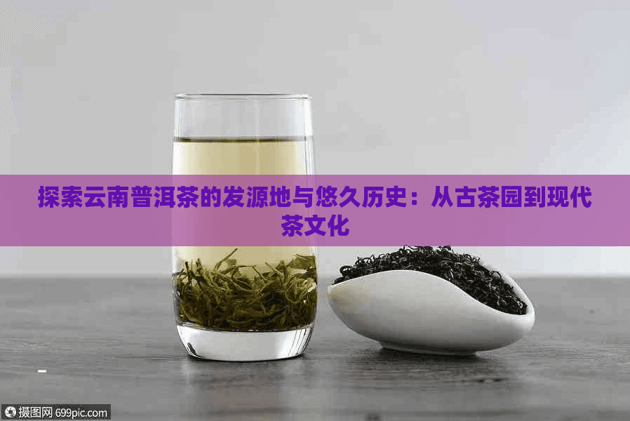 探索云南普洱茶的发源地与悠久历史：从古茶园到现代茶文化