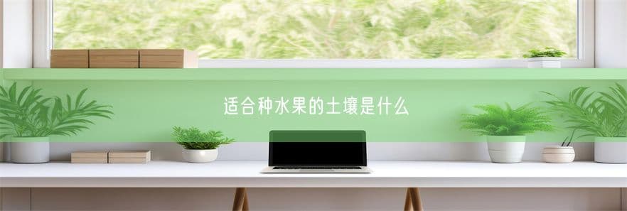 适合种水果的土壤是什么