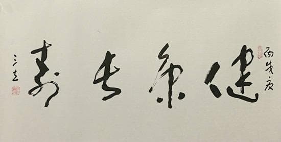 “当代草书第一人”张三立：传统与创新的完美融合