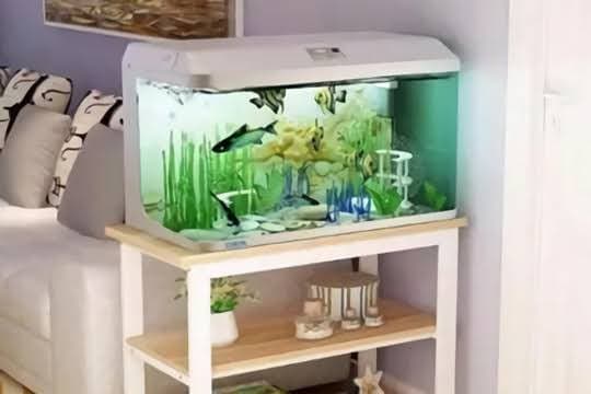 家里鱼缸摆放位置风水吉位