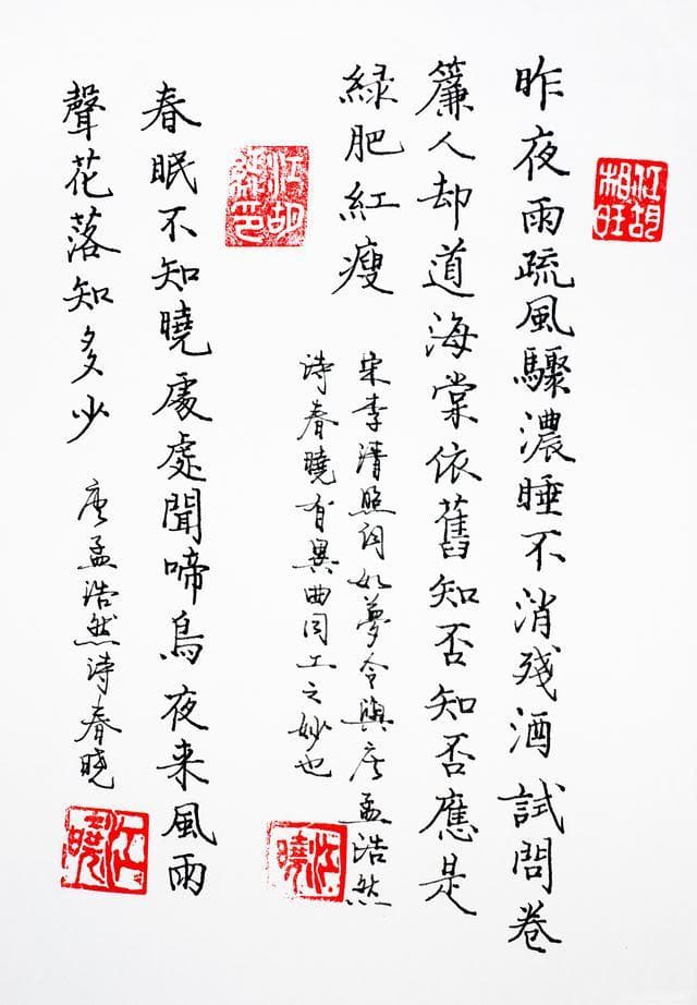 写好汉字的四大要素：结构、技巧、文化与实践