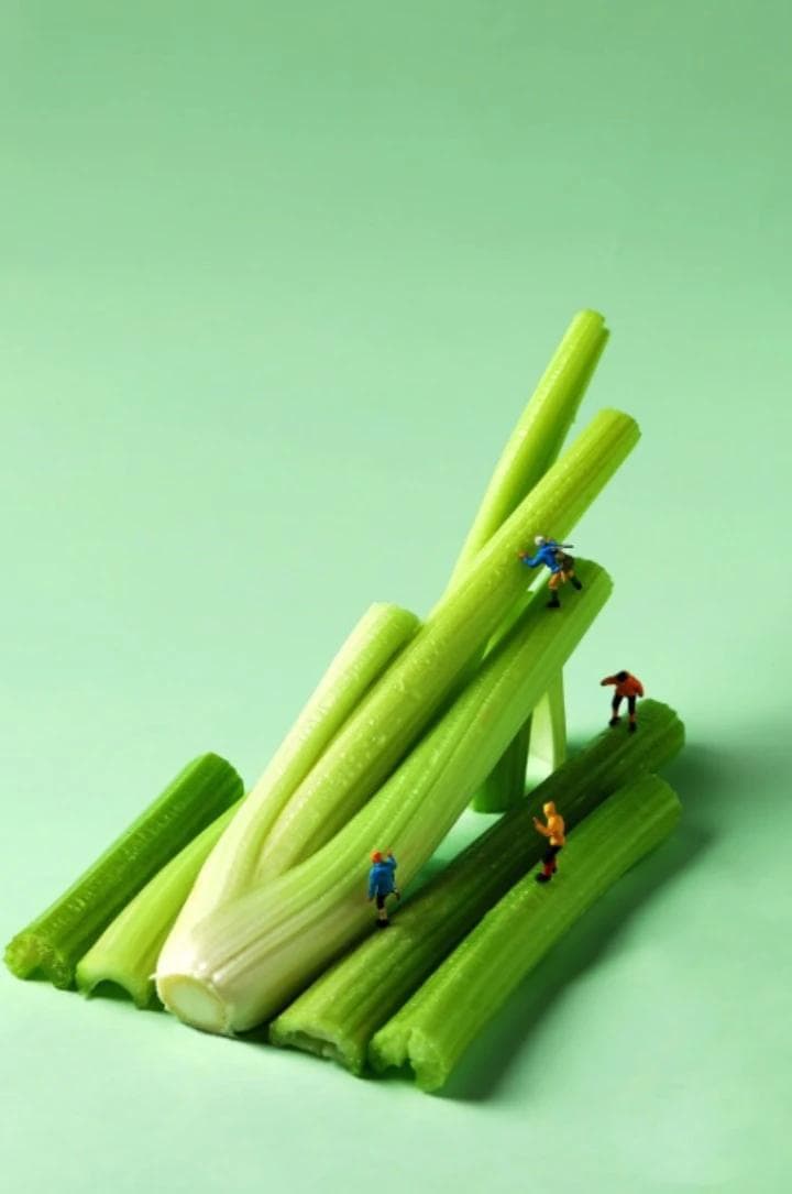 深度了解芹菜