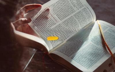 让语言绽放光彩：比喻的魔力与魅力
