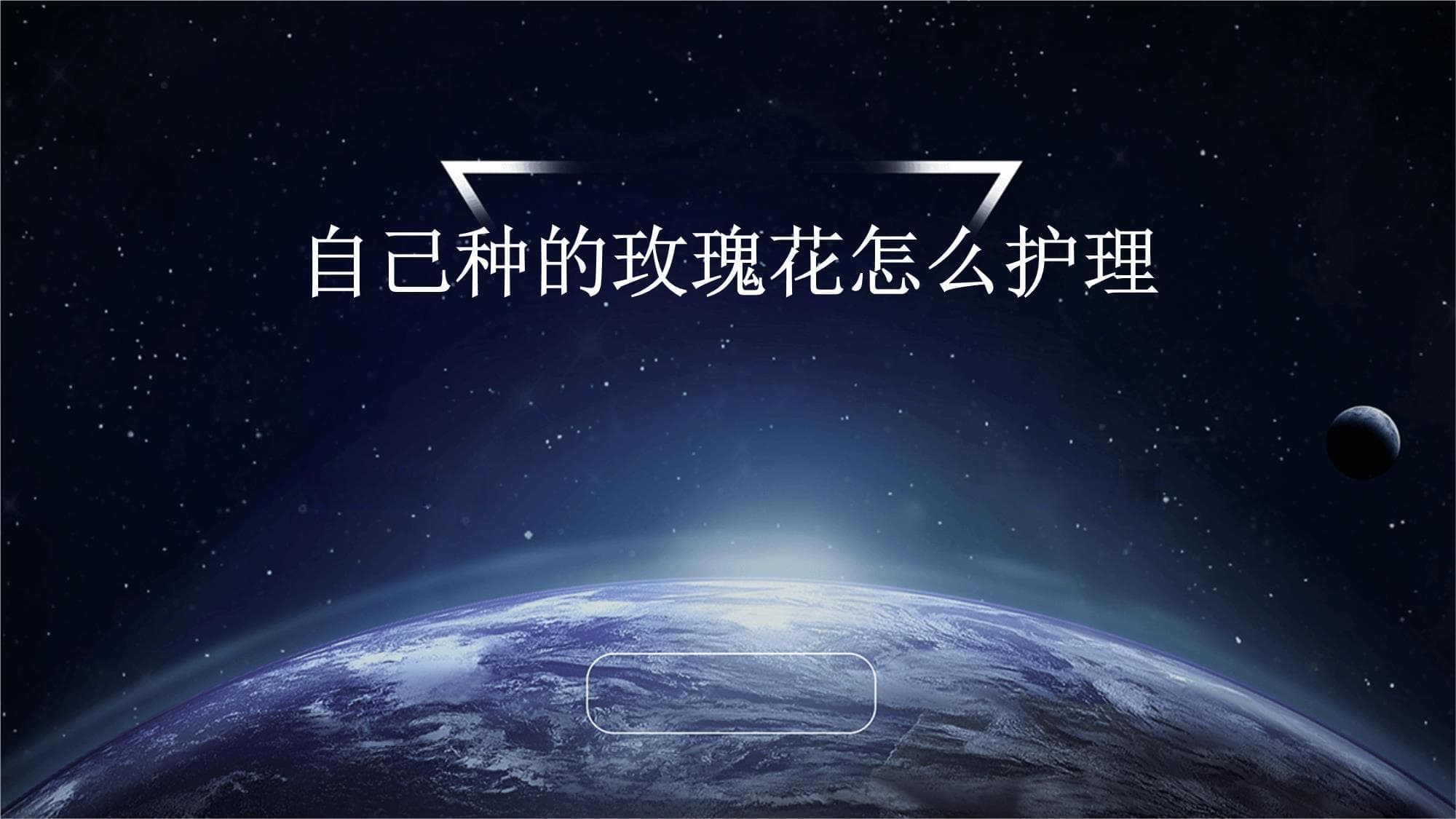 玫瑰花种植指南：从基础护理到品种选择，新手也能种出美丽花朵