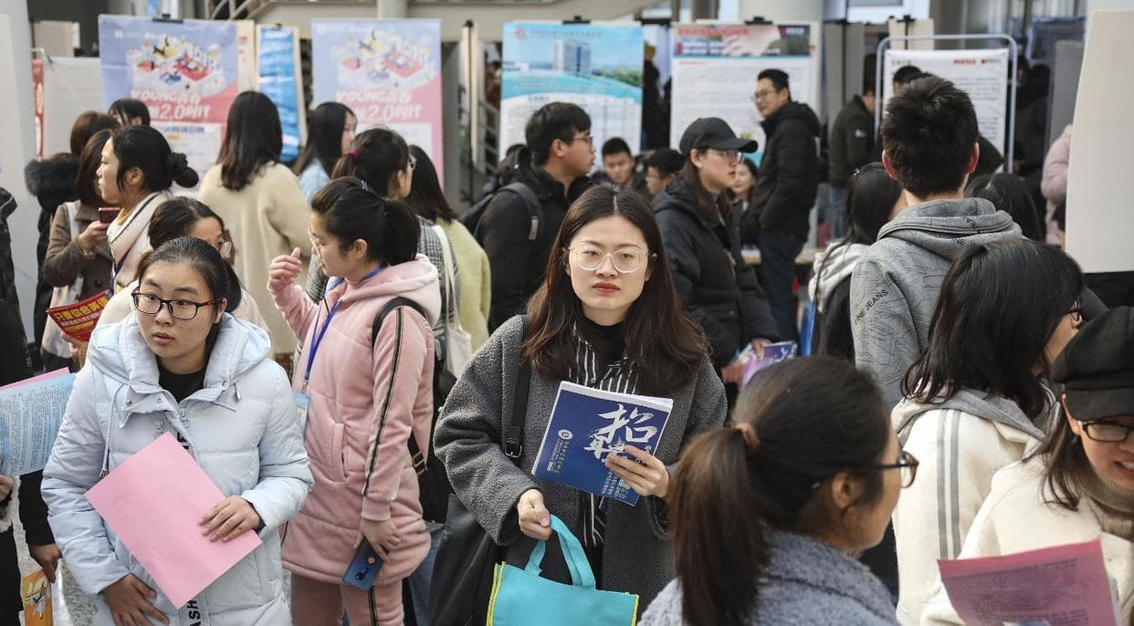 宁波大学的优势学科与专业探秘