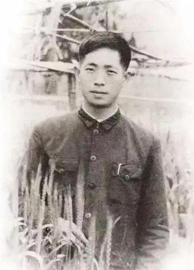 稻谷年年丰，总有梦“袁”时！今天，我们很想您！｜袁隆平诞辰94周年