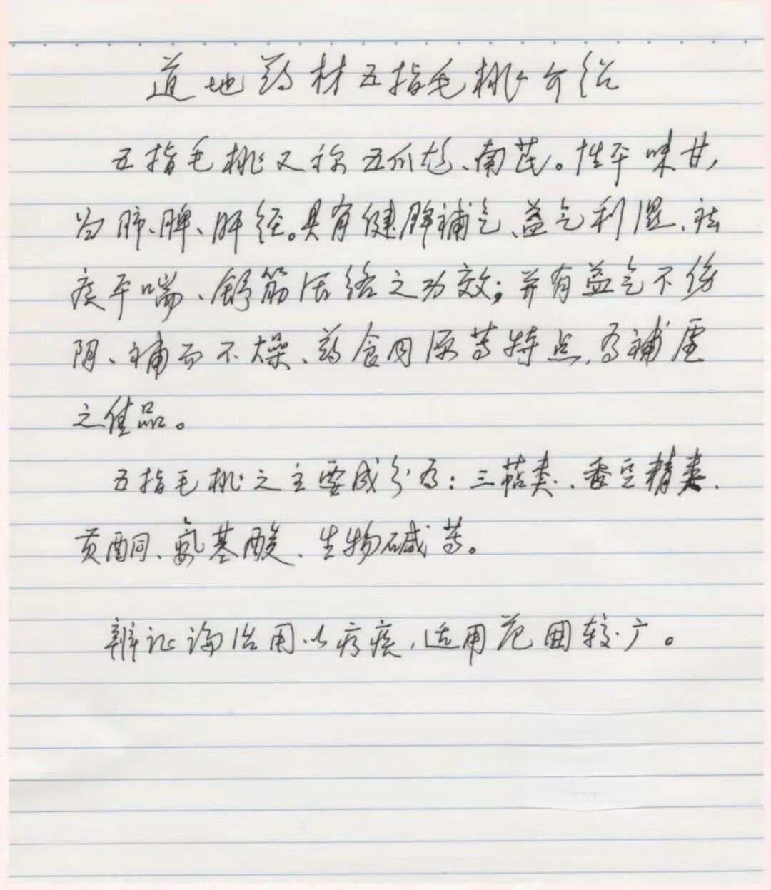 邓老养生食谱：五指毛桃汤方与药膳