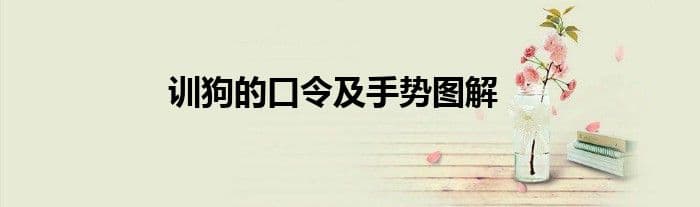 训狗的口令及手势图解