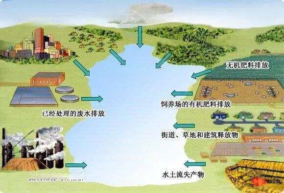 有机无机氮双重威胁，揭秘水体富营养化成因与治理