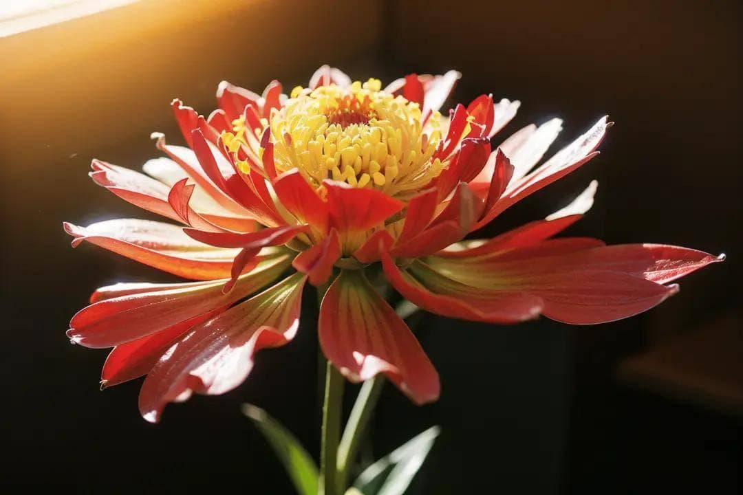薪资视角下的生物工程专业名校盘点