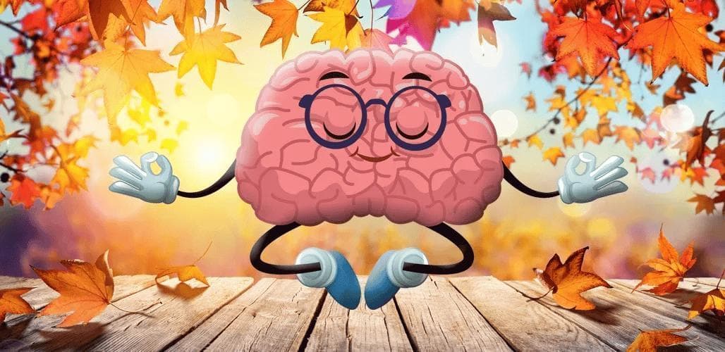 瑜伽对身体和大脑的影响：科学解读与实践指南