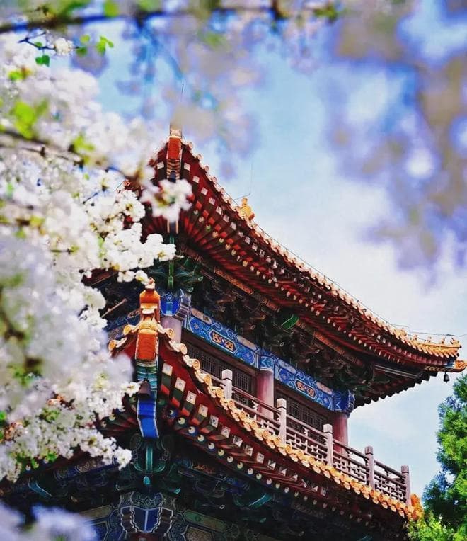 出乎意料地美，西安这9个小众景点，99%的游客不知道，你去过几个
