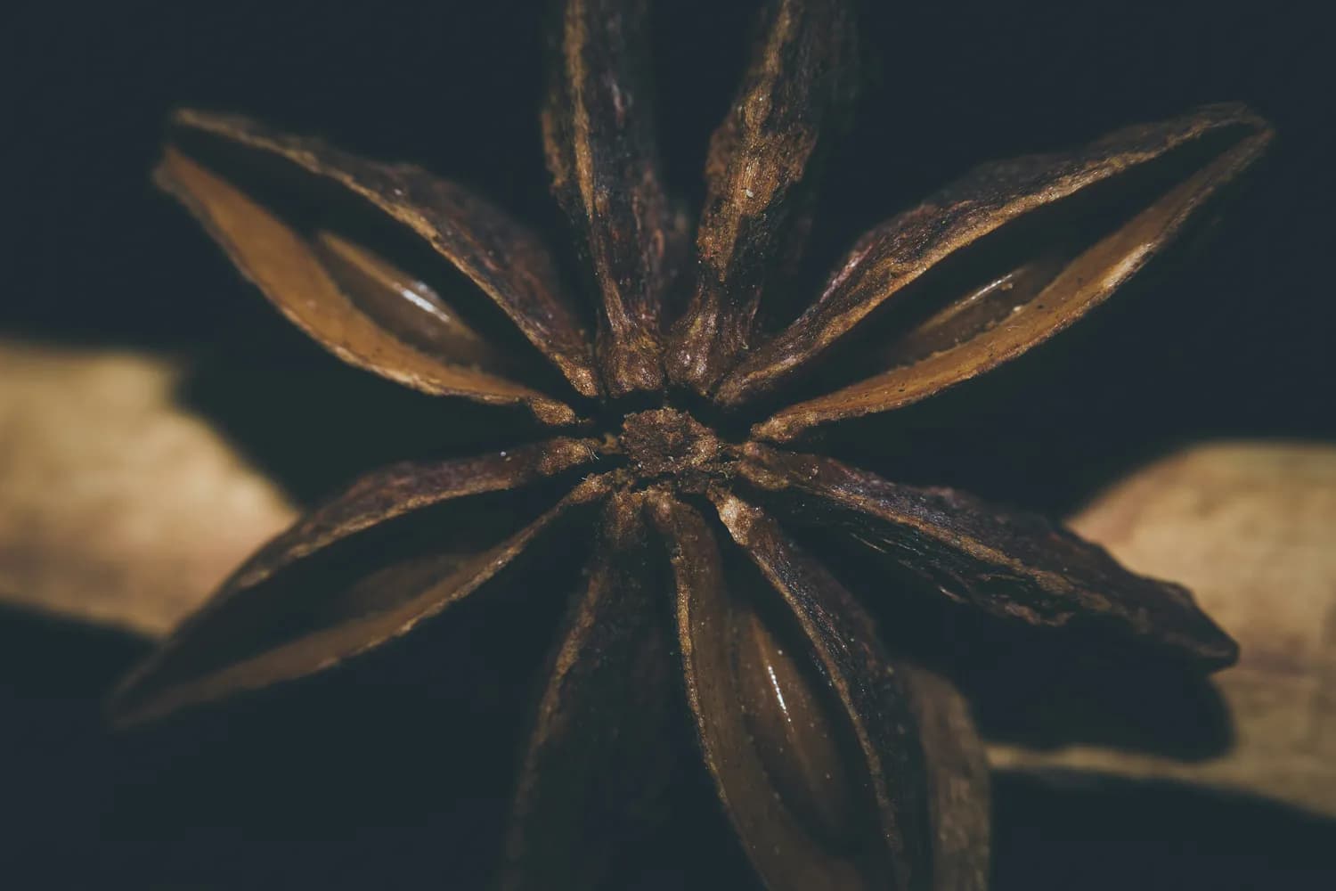 八角真的有毒？教你正确吃法