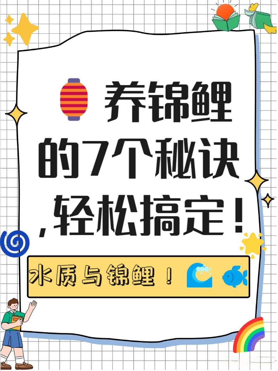 一文掌握锦鲤养殖：从环境到喂养的全方位指导