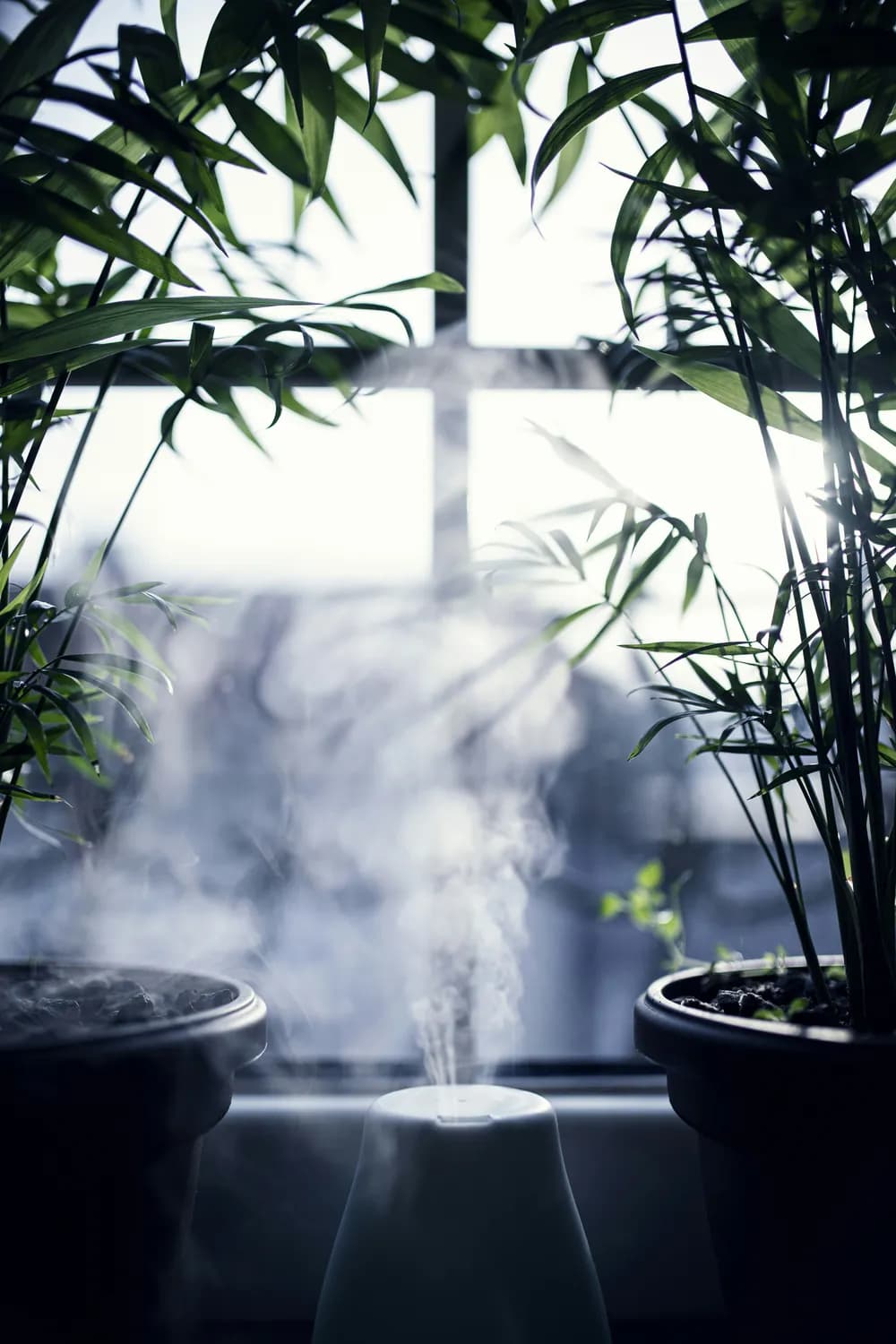 口干别光喝水！调节室内湿度才是治本之策