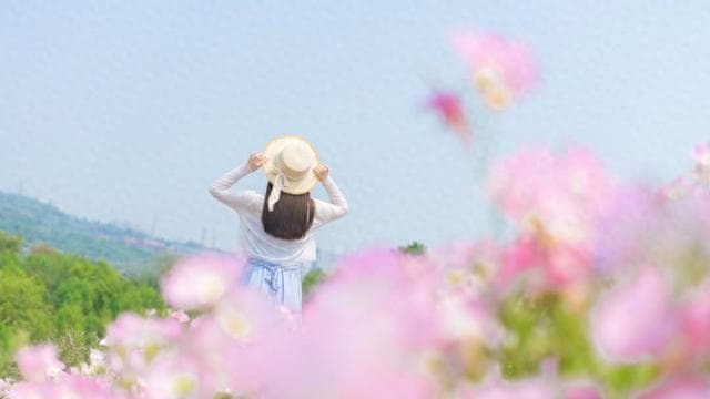 春天容易“内耗”？科学应对情绪问题，这些信号别忽视