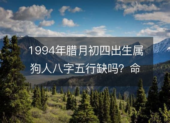 1994年腊月初四出生属狗人八字五行缺吗？命运、婚姻、性格、事业财运！