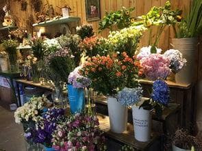 花店实体店：传统与现代交织的美丽艺术