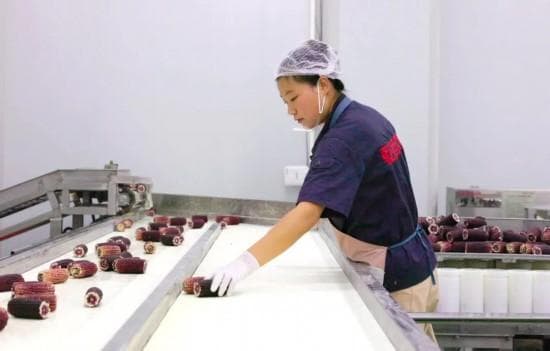 抢“鲜”上市一路领“鲜”，公主岭市鲜食玉米进入产销旺季