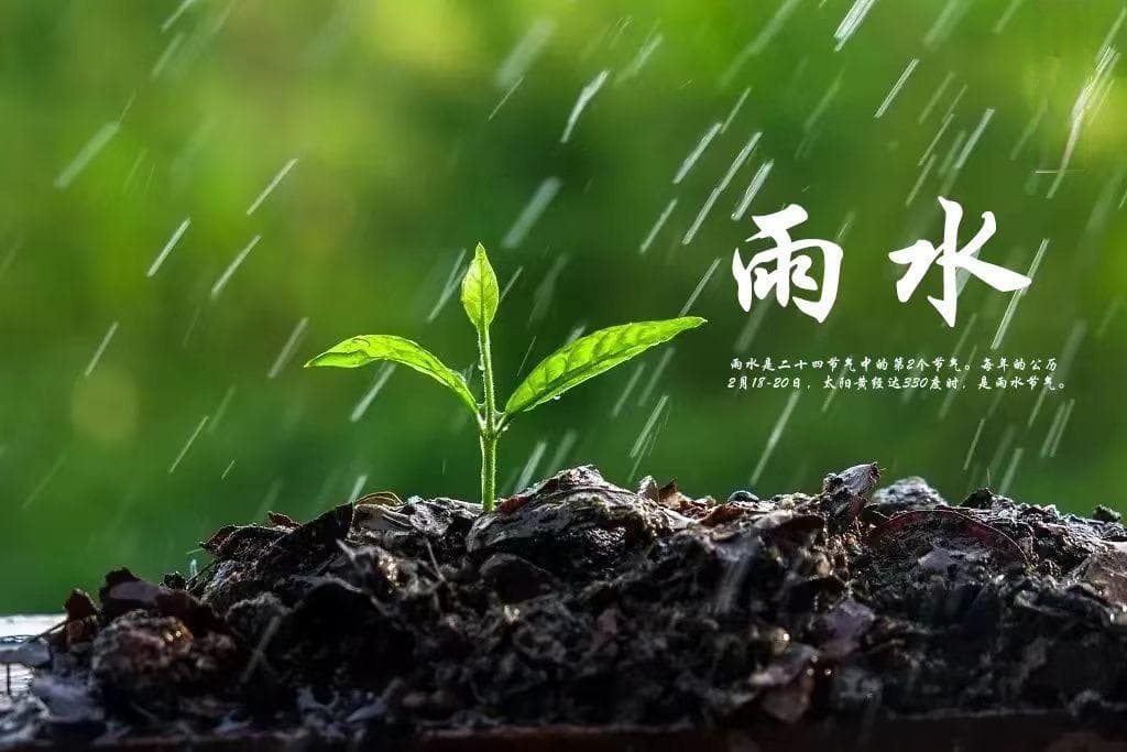 檐前听雨落，诗行润春声——十三首诗词里的雨水节气