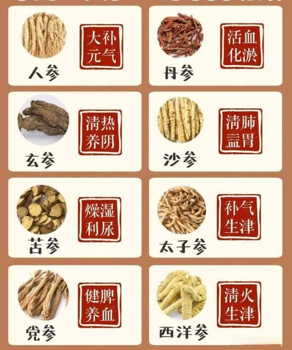 大补8种参，不要再吃错了！不同参类药效不同，这样选择才对症