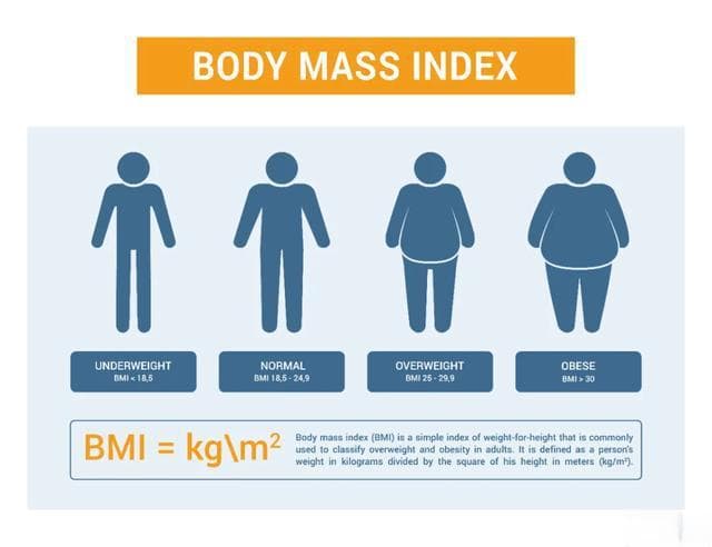什么是BMI？它比体脂率还重要吗？