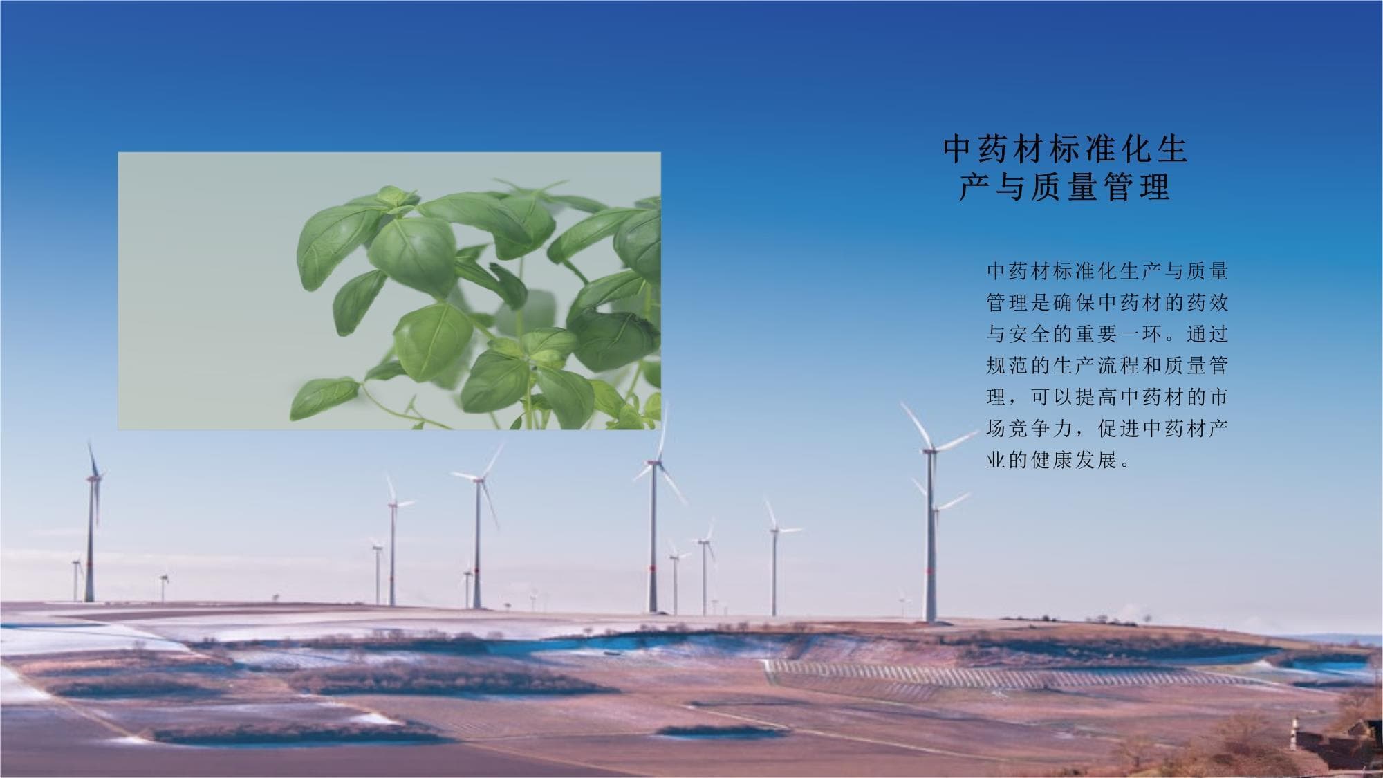 2024年中药材标准化生产与质量管理