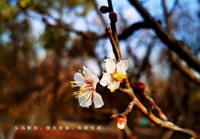 立春原来是古代的春节，又称为元旦，民国后，分为公历与农历并存
